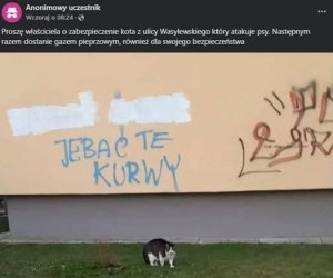 Oczywiście napis na ścianie jest autorstwa tego kota