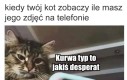 Taki trochę stalker