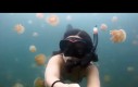 Pływanko z meduzami