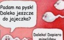 Daleko jeszcze do jajeczka?