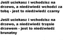 Wiedza ratująca życie