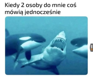 Nie rozumiem absolutnie nic