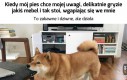 Takie tam nasze rytuały