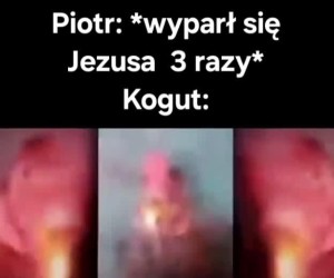 Pietrek Kogucik