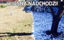 Wiosna nadchodzi!