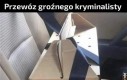 Nie ucieknie (chyba)