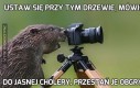 Ustaw się przy tym drzewie, mówiłem!