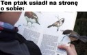 To przecież ja!