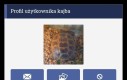 Status urodzinowy