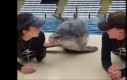 Delfin uwielbia buziaki