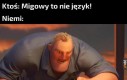 Pokrzywa