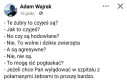 Żubry