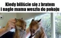 Szlaban na komputer gwarantowany