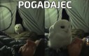 Pogadajec