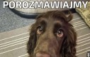 Porozmawiajmy