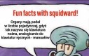 Od pedału też pochodzi nuta pedałowa