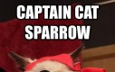 Captain Cat Sparrow