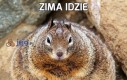 Zima idzie