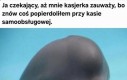 Pomocy