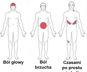 Anatomia bólu