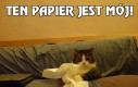 Ten papier jest mój!