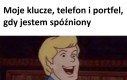 Rozdzielmy się!