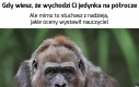 Może jednak się zlitował?