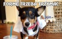 Formę trzeba trzymać