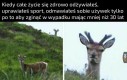 Mam nadzieję, że nrel