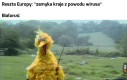 Tak to wygląda