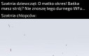 Ostra jadka
