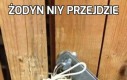 Żodyn niy przejdzie