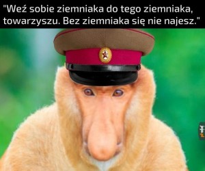 I tak się nie naje