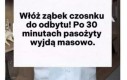 Powinno dać radę
