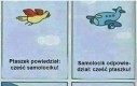 Co ty do mnie mówisz ptaszku