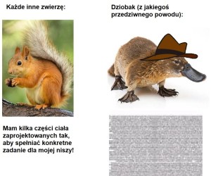 Wy już dobrze wiecie, o jakiego dziobaka chodzi