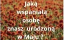 To niezłe urodziny w maju