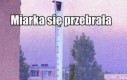 Miarka