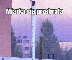 Miarka