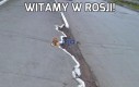 Witamy w Rosji!