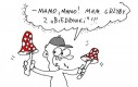 Muchomory z Biedronki