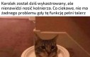 Działa? Działa.