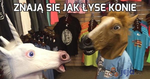 Znać Się Jak łyse Konie memy.jeja.pl