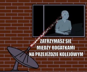 Jedyne wytłumaczenie