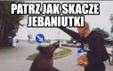 Dzik
