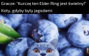 Elder Ring dobra gra