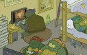 Żółwie ninja na studiach