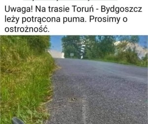 No no puma jak ta lala