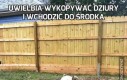 Uwielbia wykopywać dziury i wchodzić do środka