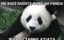 Nie bądź rasistą. Bądź jak panda!